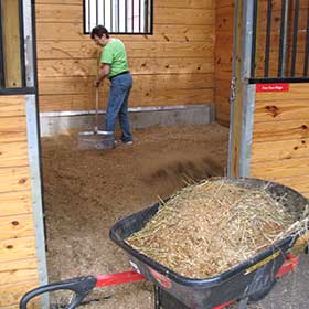 Horse stall rentals