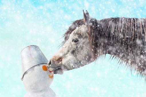 Horse snowman