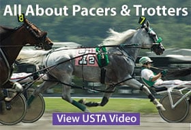 Pacer or Trotter