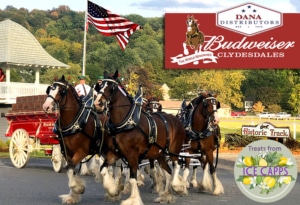 Harness Horse Racing Track | Goshen Historic Track New York