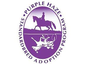 Purple Haze Standardbred Adoption Program