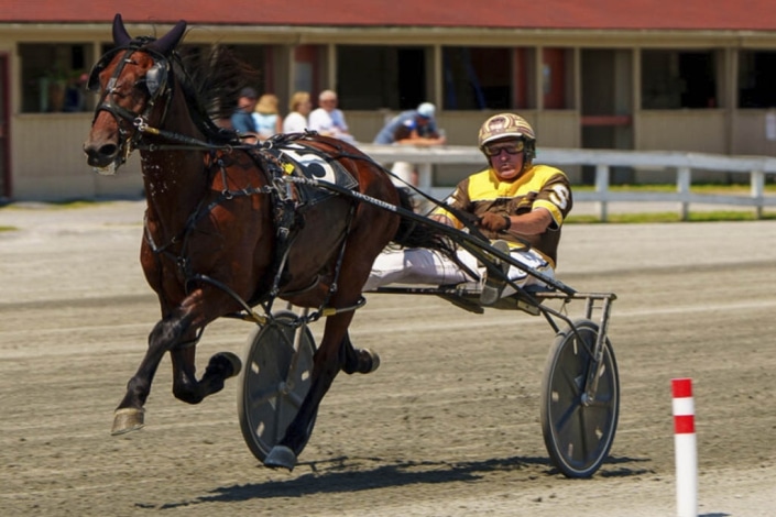 Goshen Historic Track – The world's oldest active harness racing track ...